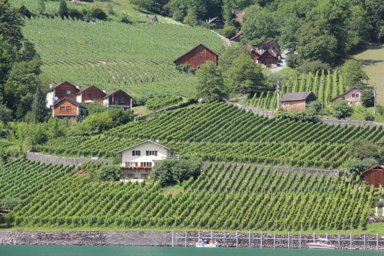 Haus Buenten Quinten Bagian luar foto