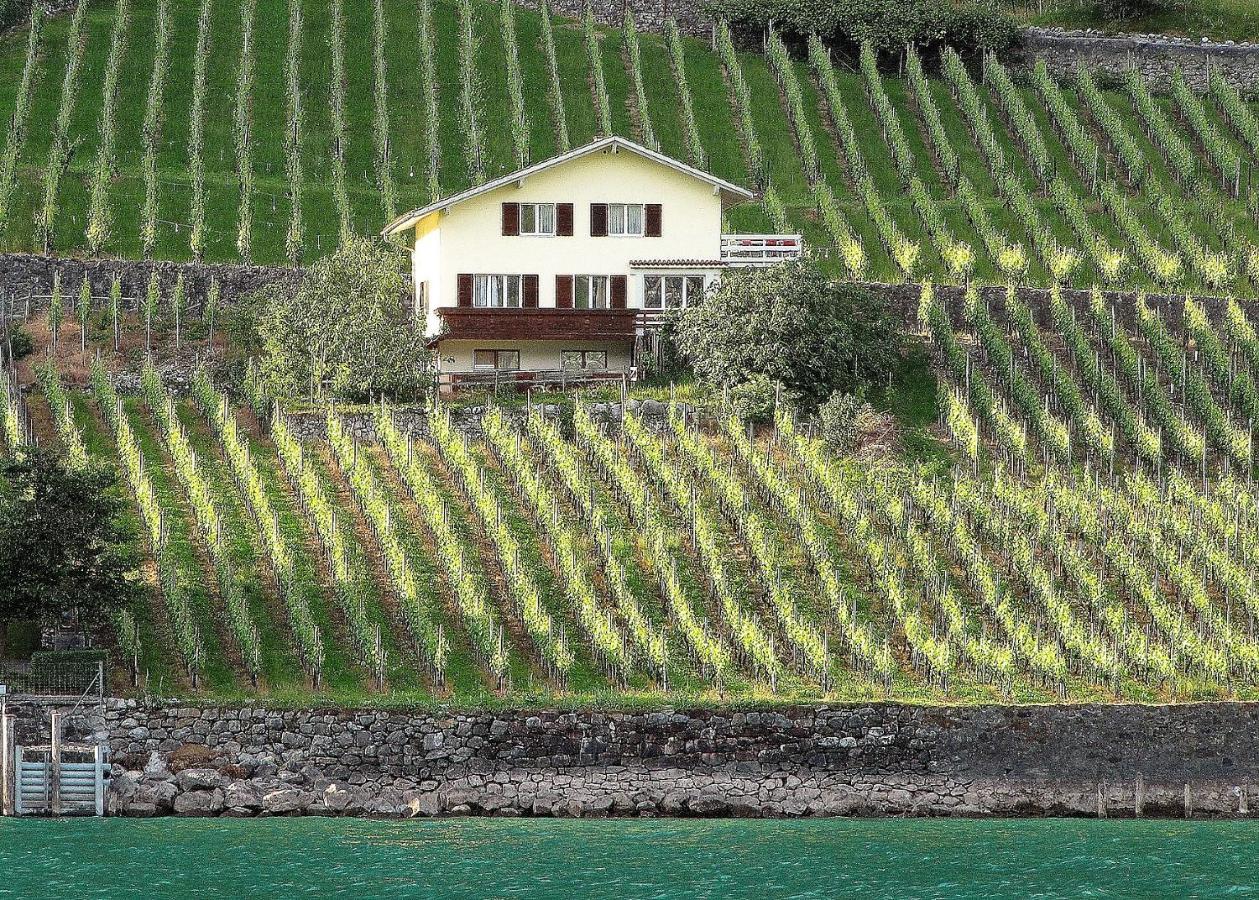 Haus Buenten Quinten Bagian luar foto