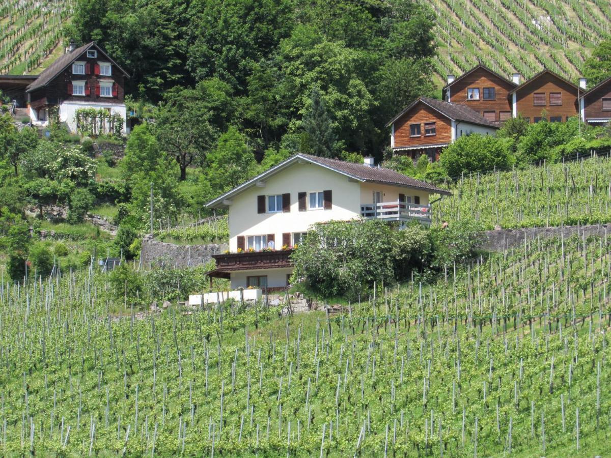Haus Buenten Quinten Bagian luar foto