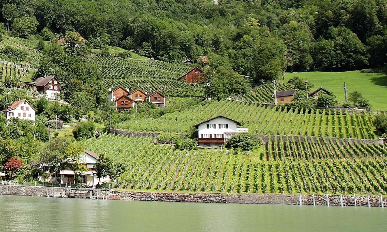 Haus Buenten Quinten Bagian luar foto