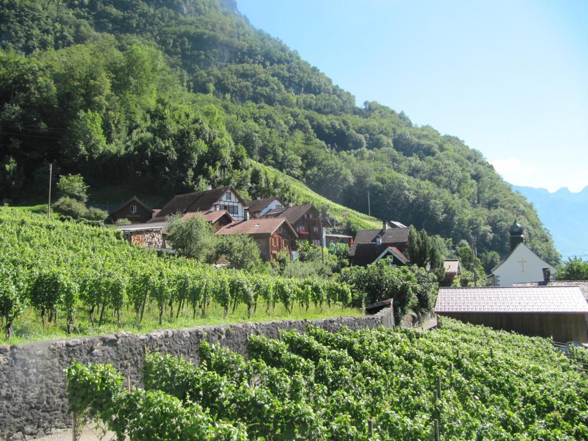 Haus Buenten Quinten Bagian luar foto